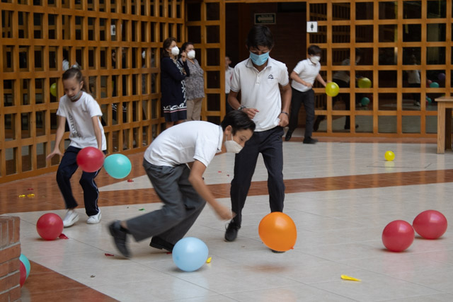 Ir a la Siguiente Foto