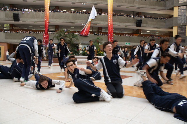 Ir a la Siguiente Foto