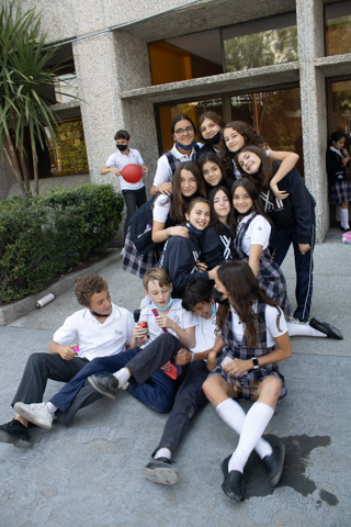 Ir a la Siguiente Foto