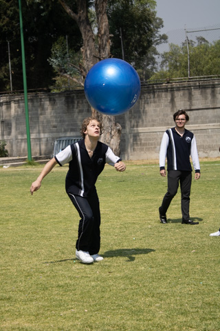 Ir a la Siguiente Foto