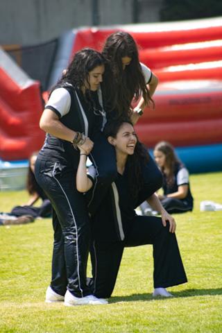 Ir a la Siguiente Foto