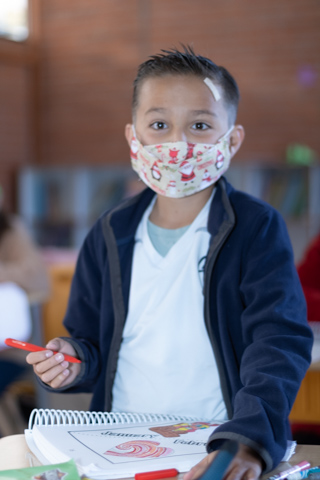 Ir a la Siguiente Foto