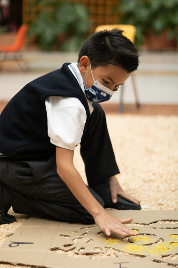 Ir a la Siguiente Foto