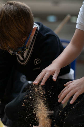 Ir a la Siguiente Foto