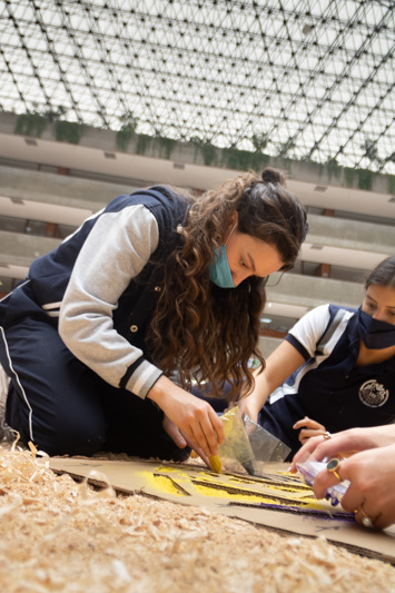 Ir a la Siguiente Foto