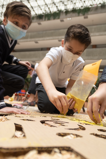 Ir a la Siguiente Foto