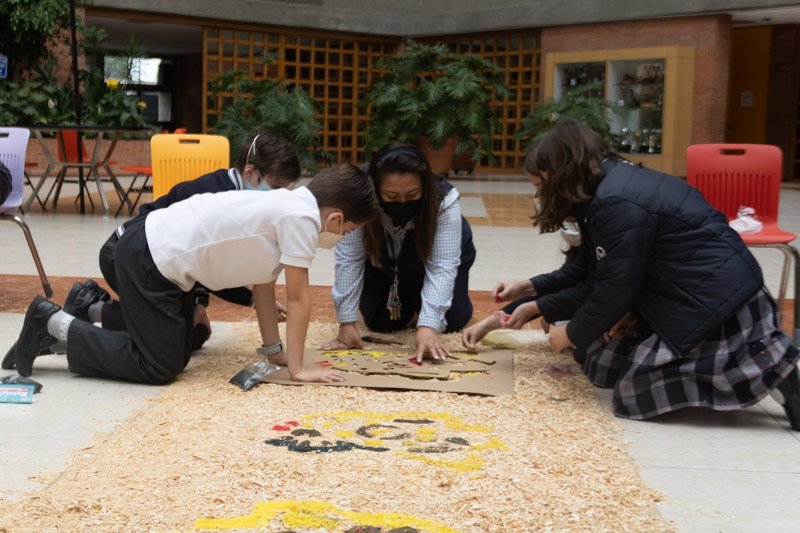 Ir a la Siguiente Foto