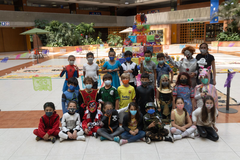 Ir a la Siguiente Foto