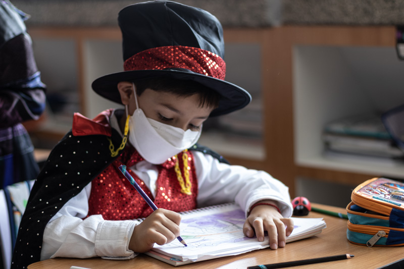 Ir a la Siguiente Foto