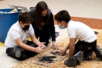 25102021dia_de_muesrtos_primaria2021351.jpg