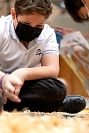 25102021dia_de_muesrtos_primaria2021352.jpg