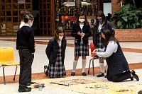 25102021dia_de_muesrtos_primaria2021369.jpg