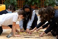 25102021dia_de_muesrtos_primaria2021387.jpg