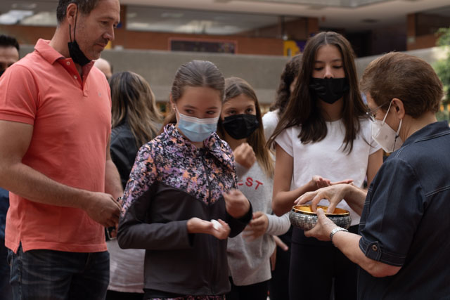 Ir a la Siguiente Foto