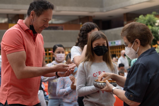 Ir a la Siguiente Foto