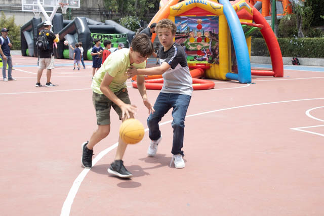 Ir a la Siguiente Foto