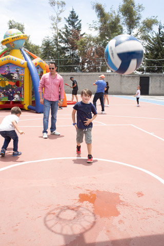 Ir a la Siguiente Foto