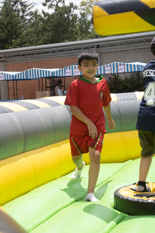 Ir a la Siguiente Foto