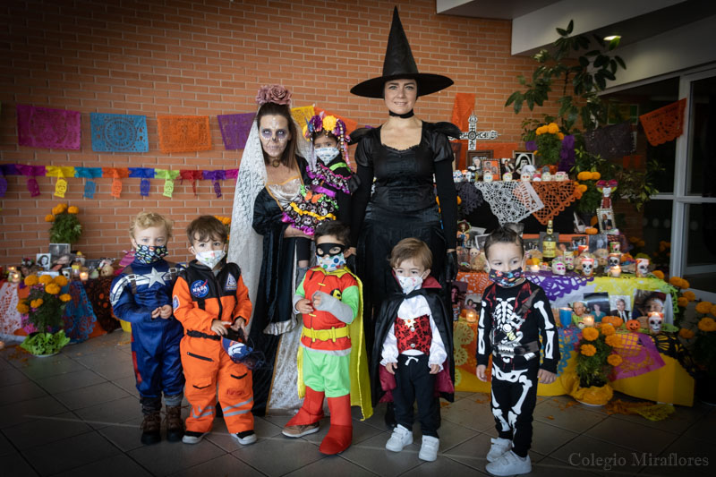 Ir a la Siguiente Foto