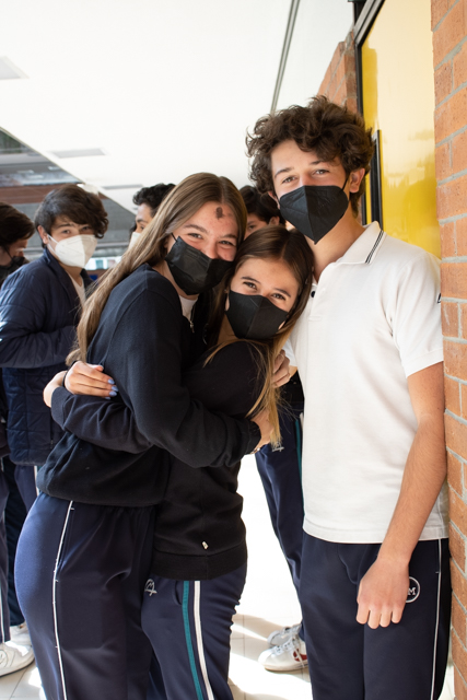 Ir a la Siguiente Foto