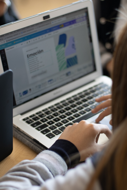 Ir a la Siguiente Foto