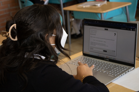 Ir a la Siguiente Foto