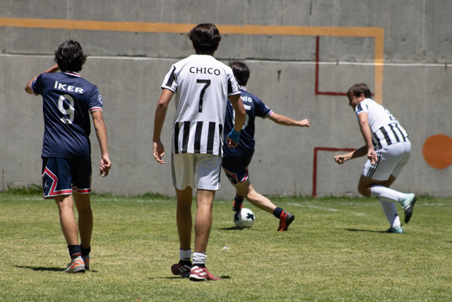 Ir a la Siguiente Foto