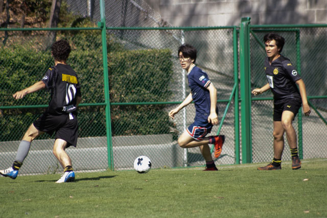 Ir a la Siguiente Foto