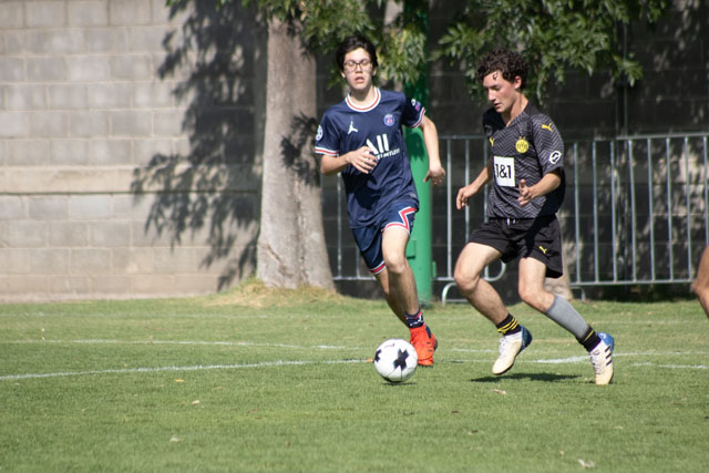 Ir a la Siguiente Foto