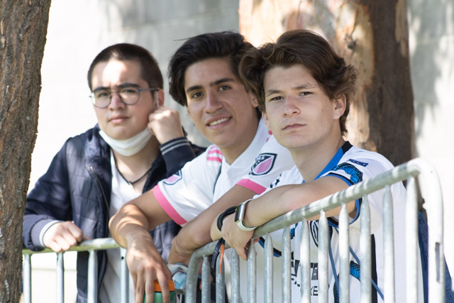 Ir a la Siguiente Foto