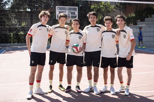 Ir a la Siguiente Foto