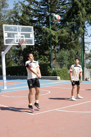 Ir a la Siguiente Foto