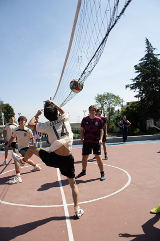 Ir a la Siguiente Foto