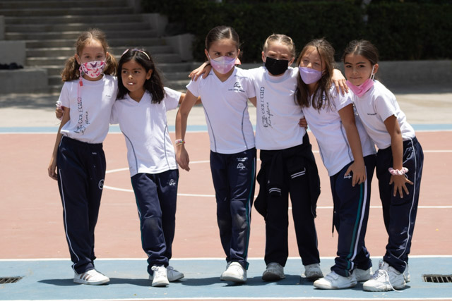 Ir a la Siguiente Foto