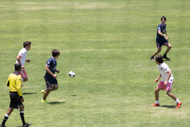 Ir a la Siguiente Foto