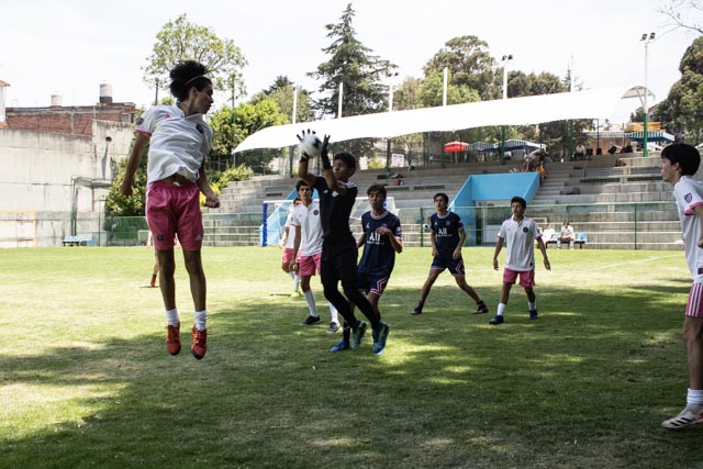 Ir a la Siguiente Foto