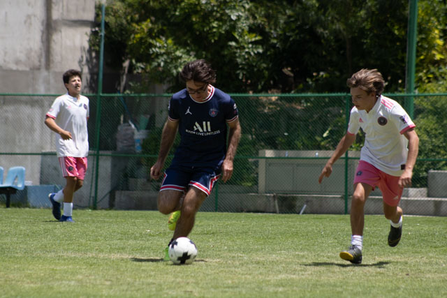 Ir a la Siguiente Foto