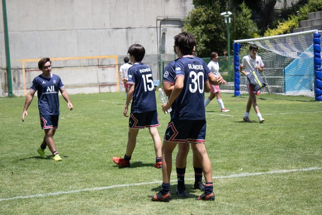 Ir a la Siguiente Foto