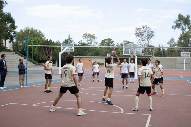 Ir a la Siguiente Foto