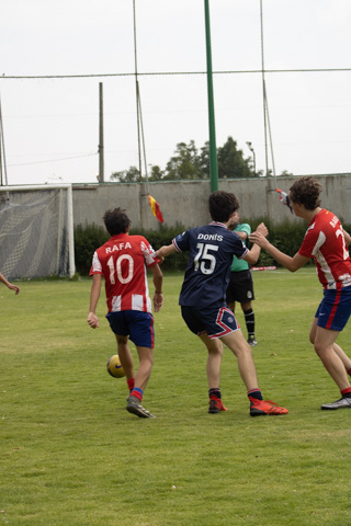 Ir a la Siguiente Foto