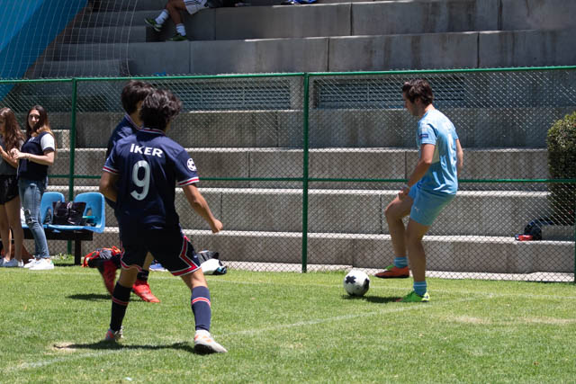 Ir a la Siguiente Foto