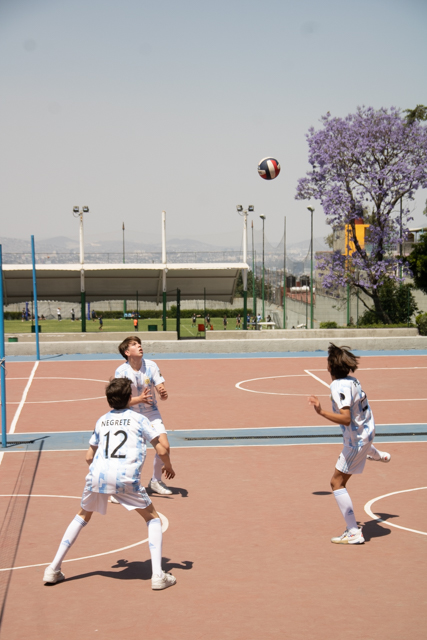 Ir a la Siguiente Foto