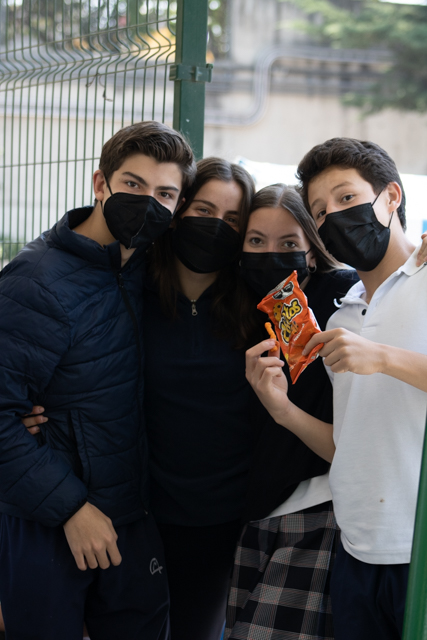 Ir a la Siguiente Foto