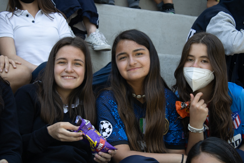 Ir a la Siguiente Foto