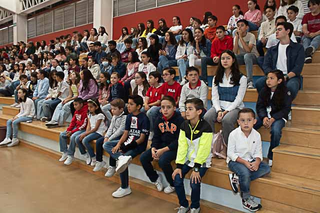 Ir a la Siguiente Foto