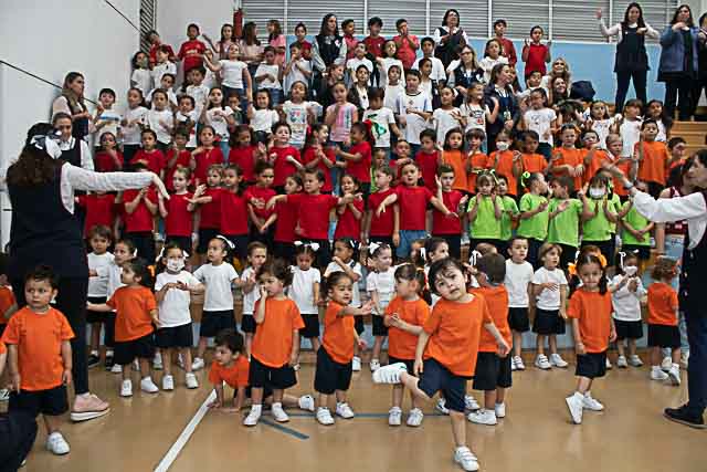 Ir a la Siguiente Foto