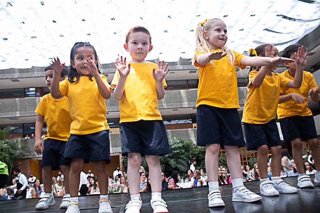 Ir a la Siguiente Foto