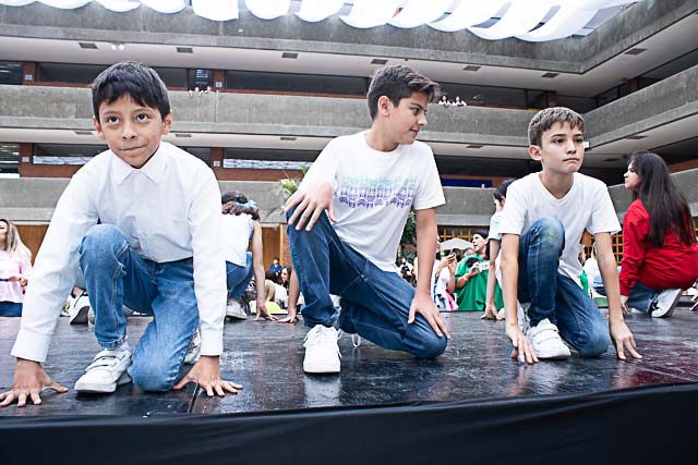 Ir a la Siguiente Foto