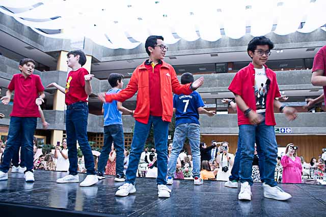 Ir a la Siguiente Foto