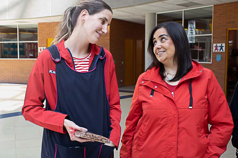 Ir a la Siguiente Foto